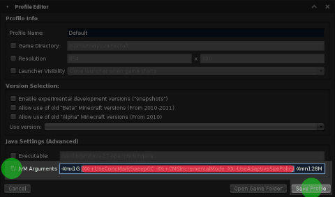 Check the box for JVM arguments. Erase all -XX parameters. Optionally leave memory parameters. Finally, click Save Profile when you are done.